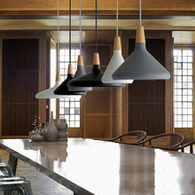 Carica l'immagine nel visualizzatore di Gallery, Lampadario Nordico in Alluminio