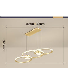 Carica l'immagine nel visualizzatore di Gallery, Simple Modern Household Circular LED For Restaurant Pendant Lights