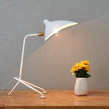Carica l'immagine nel visualizzatore di Gallery, Modern And Unique Duck Tongue Simple Bedroom Study Stand Lamp
