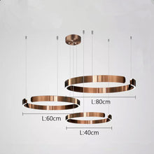 Carica l'immagine nel visualizzatore di Gallery, Lampadario ad Anello LED in Acciaio Inox – Design Nordico Moderno