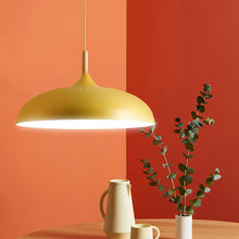 Carica l'immagine nel visualizzatore di Gallery, Nordic Simple Decorative Pot Cover Chandelier
