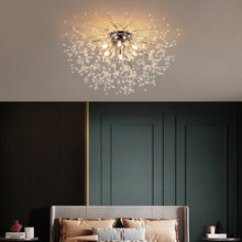 Carica l'immagine nel visualizzatore di Gallery, Dandelion Lampada in Cristallo