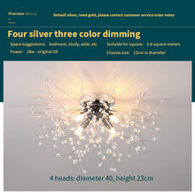Carica l'immagine nel visualizzatore di Gallery, Dandelion Lampada in Cristallo