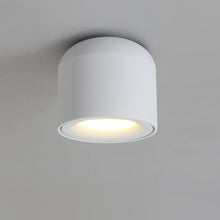 Carica l&#39;immagine nel visualizzatore di Gallery, Aisle And Corridor Free-Opening Ceiling Light
