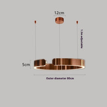 Carica l'immagine nel visualizzatore di Gallery, Lampadario ad Anello LED in Acciaio Inox – Design Nordico Moderno
