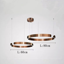 Carica l'immagine nel visualizzatore di Gallery, Lampadario ad Anello LED in Acciaio Inox – Design Nordico Moderno
