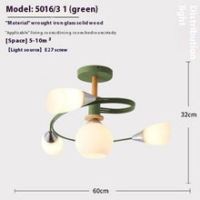 Carica l&#39;immagine nel visualizzatore di Gallery, Ceiling Light Simple Restaurant Iron Droplight
