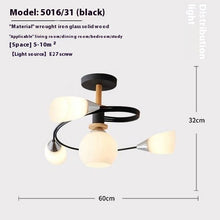 Carica l&#39;immagine nel visualizzatore di Gallery, Ceiling Light Simple Restaurant Iron Droplight
