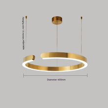 Carica l'immagine nel visualizzatore di Gallery, Lampadario ad Anello LED in Acciaio Inox – Design Nordico Moderno
