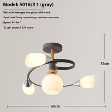 Carica l&#39;immagine nel visualizzatore di Gallery, Ceiling Light Simple Restaurant Iron Droplight
