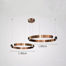 Carica l'immagine nel visualizzatore di Gallery, Lampadario ad Anello LED in Acciaio Inox – Design Nordico Moderno
