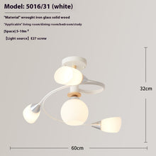 Carica l&#39;immagine nel visualizzatore di Gallery, Ceiling Light Simple Restaurant Iron Droplight
