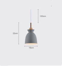 Carica l'immagine nel visualizzatore di Gallery, Nordic Style Dining Room Chandelier With Three Heads Modern Minimalist
