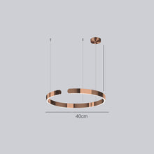 Carica l'immagine nel visualizzatore di Gallery, Lampadario ad Anello LED in Acciaio Inox – Design Nordico Moderno
