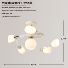 Carica l&#39;immagine nel visualizzatore di Gallery, Ceiling Light Simple Restaurant Iron Droplight
