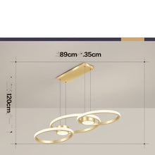 Carica l'immagine nel visualizzatore di Gallery, Simple Modern Household Circular LED For Restaurant Pendant Lights

