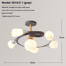 Carica l&#39;immagine nel visualizzatore di Gallery, Ceiling Light Simple Restaurant Iron Droplight
