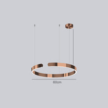 Carica l'immagine nel visualizzatore di Gallery, Lampadario ad Anello LED in Acciaio Inox – Design Nordico Moderno
